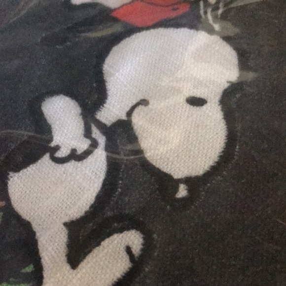 Pottery Barn Peanuts “LOVE” Happy Valentines Charlie Brown Pillow Cover … - Picture 13 of 16